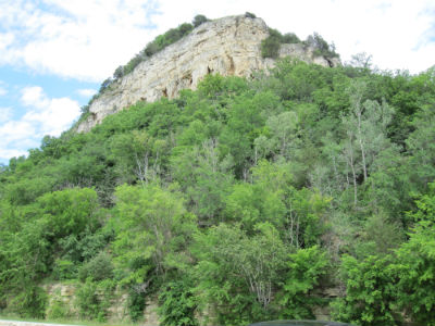 Cliff rock and trees