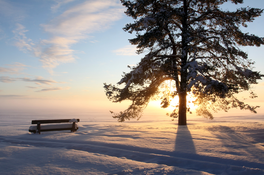 Emty park bench covered with snow in sunset