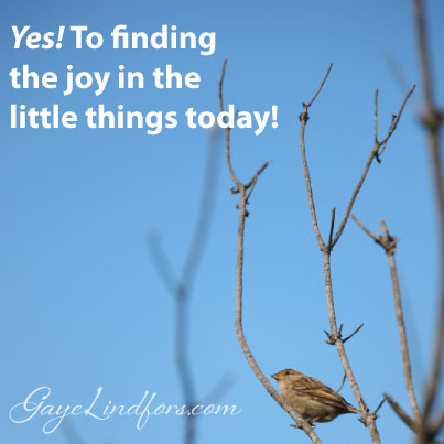 Yes! To Finding Joy