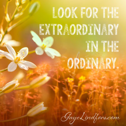 Look For The Extraordinary