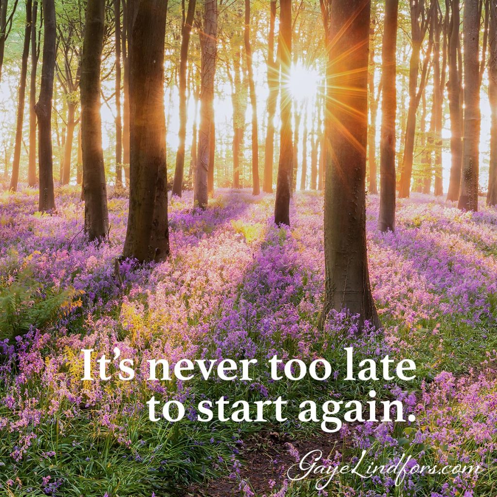 never-too-late