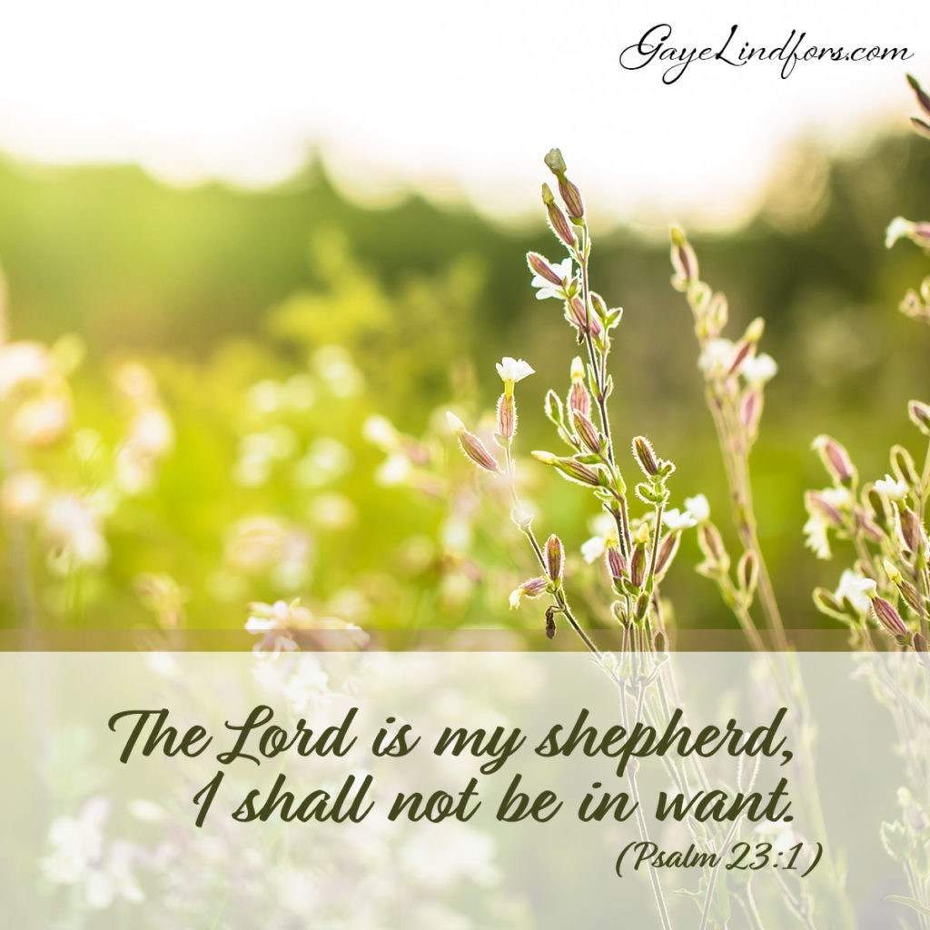 The Lord is my shepherd, I shall not be in want.