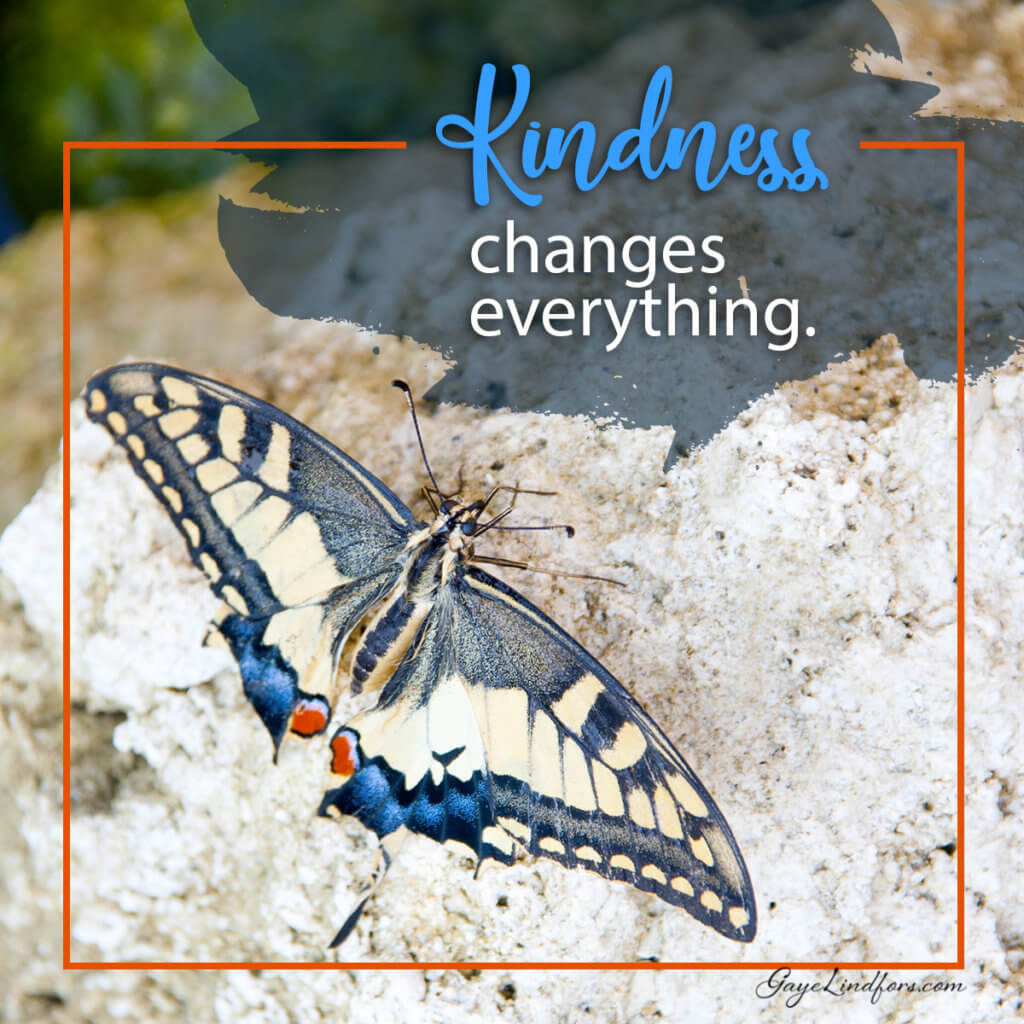 Kindness is my responsibility