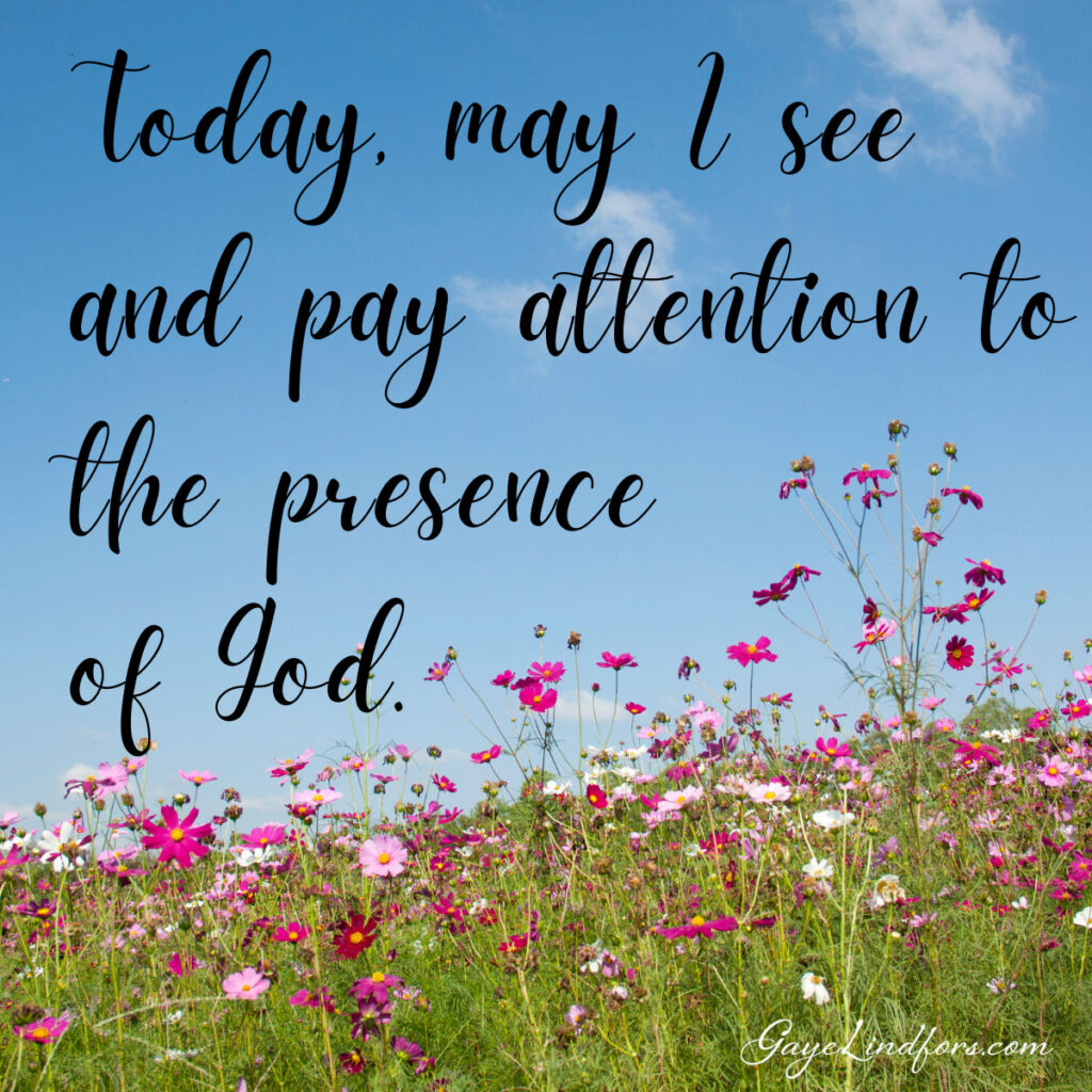 Are Your Eyes Seeing