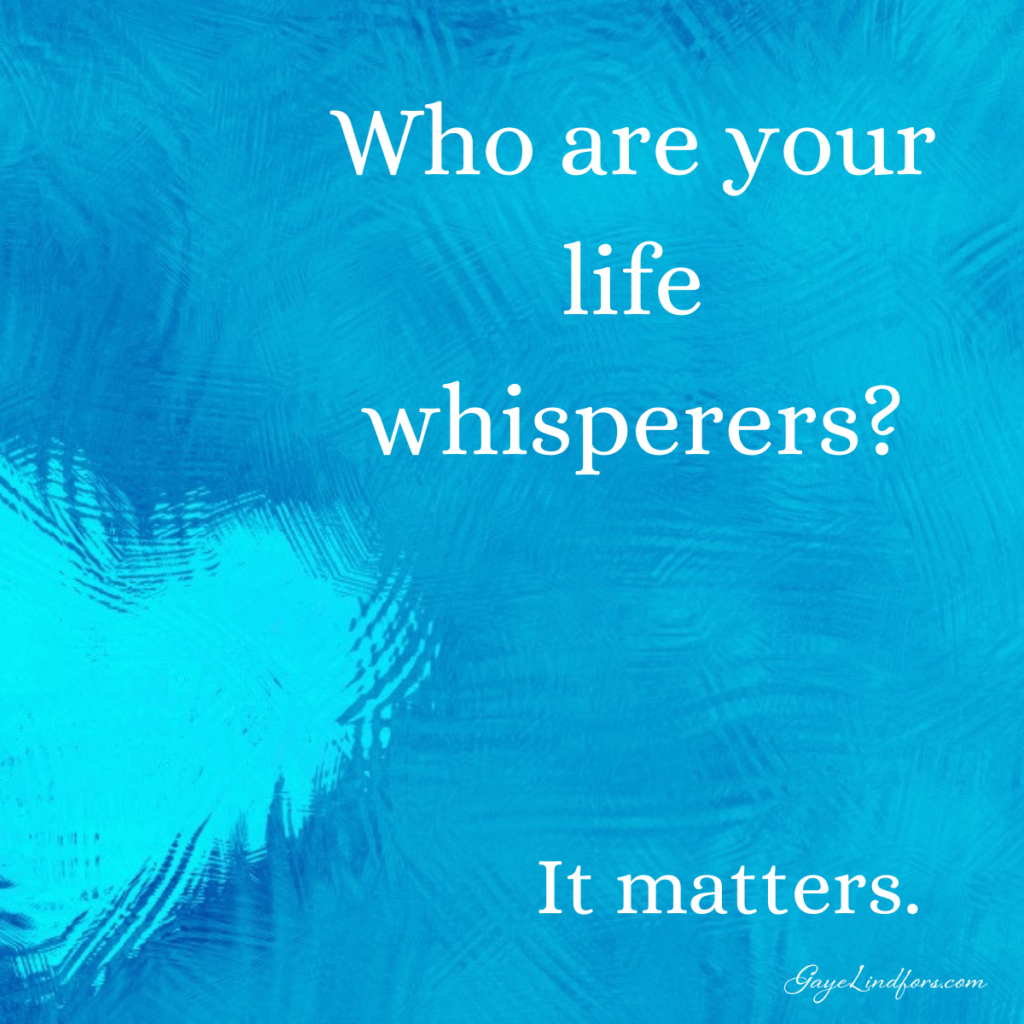 Who are Life Whisperers