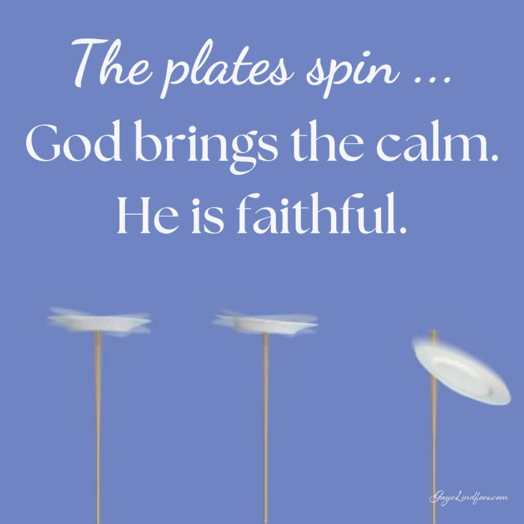 The plates spin FB post