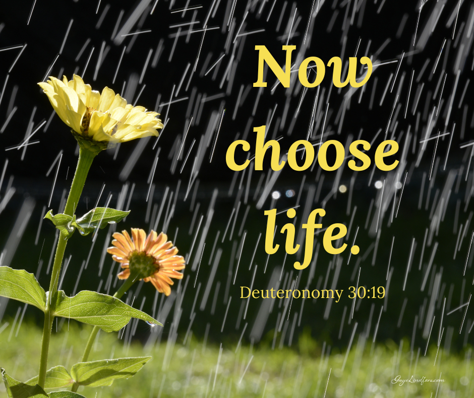 Now choose life FB.
