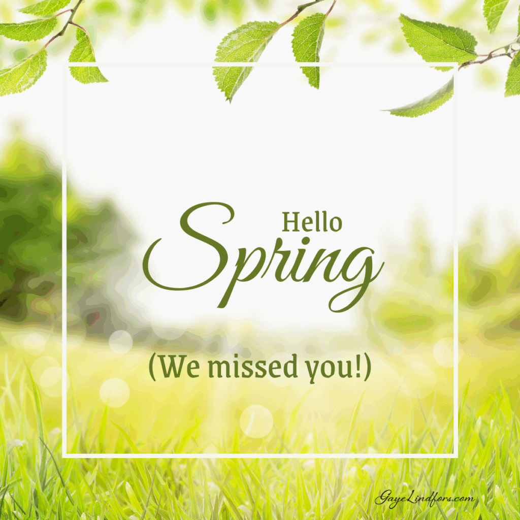 Hello Spring missed you FB