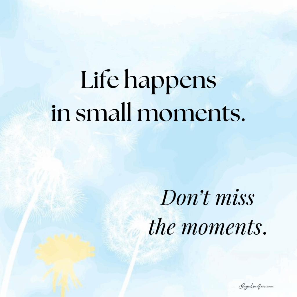 Life happens in small moments FB